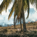 Pemkab Natuna Tingkatkan Kewaspadaan Karhutla, Masyarakat Diimbau Tidak Membuka Lahan dengan Cara Dibakar