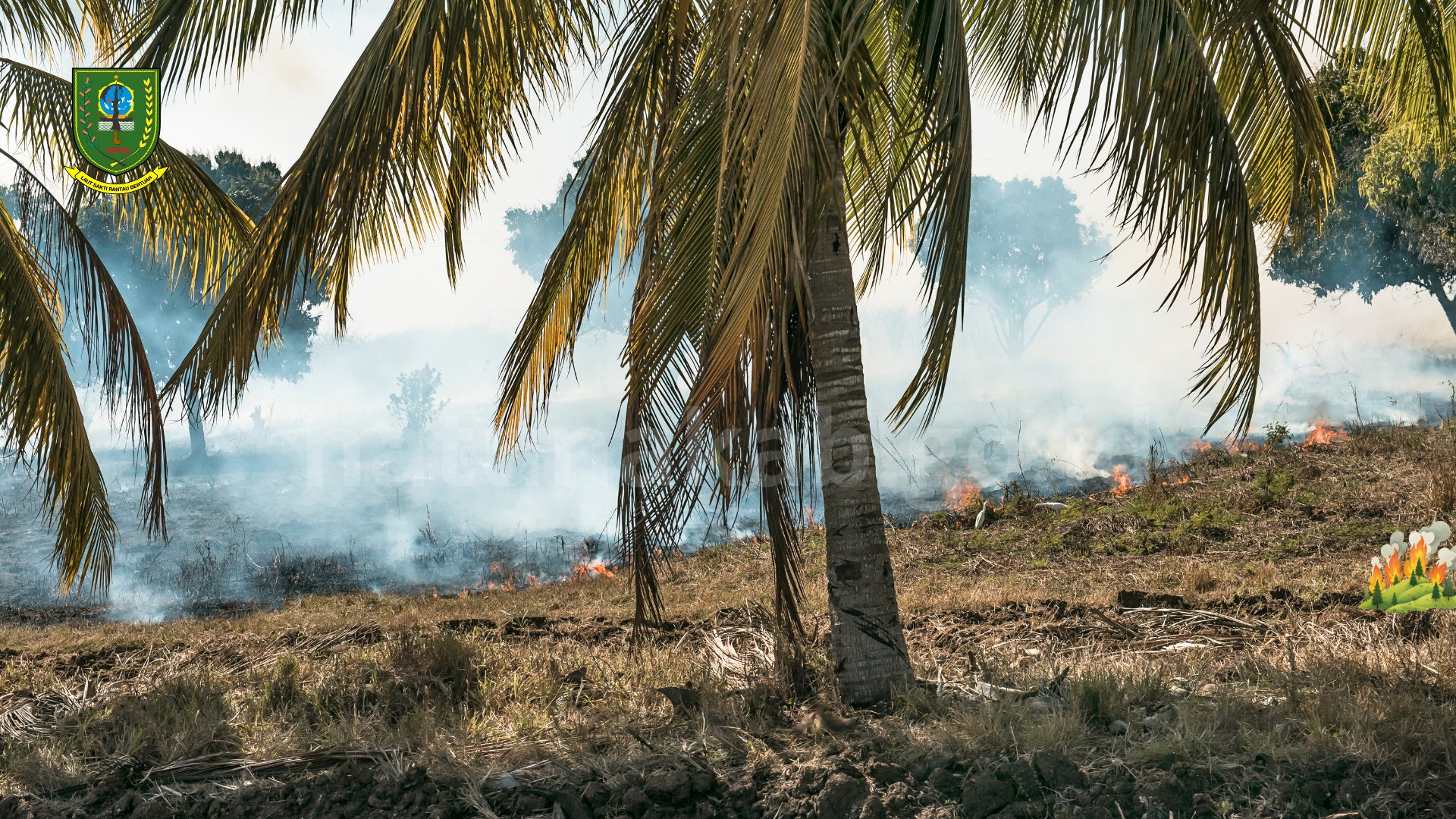 Pemkab Natuna Tingkatkan Kewaspadaan Karhutla, Masyarakat Diimbau Tidak Membuka Lahan dengan Cara Dibakar
