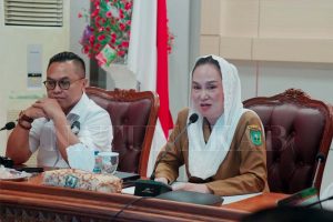 Read more about the article Bupati Natuna Pimpin Rapat Bersama Bappenas, Bahas Pengembangan SDA dan Percepatan Geopark Menuju UGGp