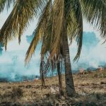 Pemkab Natuna Perkuat Kesiapsiagaan Karhutla, Instruksikan Pembentukan Posko di Kecamatan Rawan