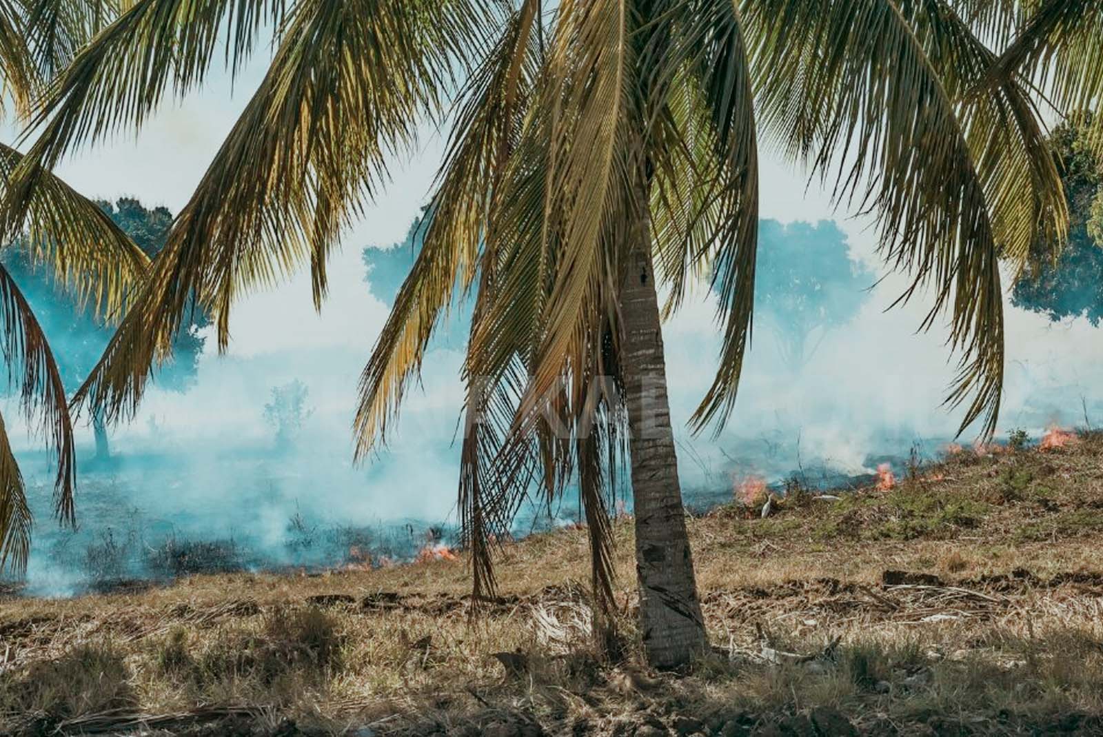You are currently viewing Pemkab Natuna Perkuat Kesiapsiagaan Karhutla, Instruksikan Pembentukan Posko di Kecamatan Rawan