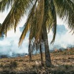 Pemkab Natuna Perkuat Kesiapsiagaan Karhutla, Instruksikan Pembentukan Posko di Kecamatan Rawan