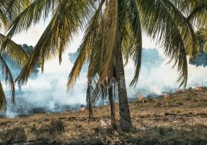 Read more about the article Pemkab Natuna Perkuat Kesiapsiagaan Karhutla, Instruksikan Pembentukan Posko di Kecamatan Rawan