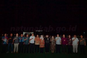 Read more about the article Bupati Natuna Gelar Ramah Tamah Bersama Pangkogabwilhan I dan Pangkoarmada I di Gedung Daerah
