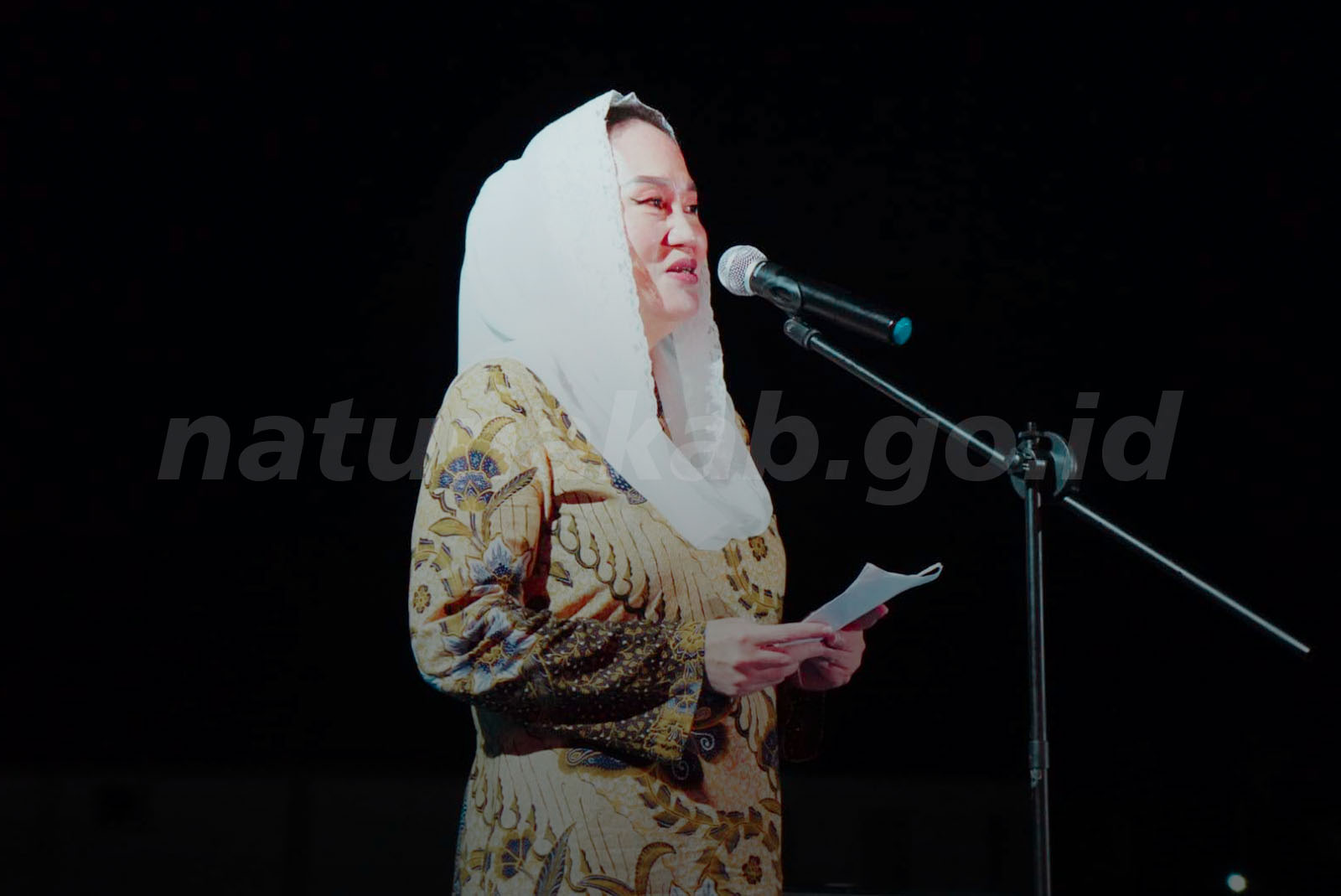 Perkuat Sinergitas Wilayah Perbatasan, Bupati Natuna Hadiri Sunset Dinner Bersama Pangkoarmada I