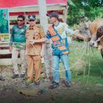 Bupati Natuna Salurkan Hewan Kurban Bantuan Presiden RI ke Wilayah Perbatasan Pulau Laut