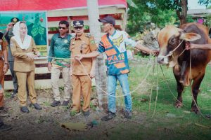 Read more about the article Bupati Natuna Salurkan Hewan Kurban Bantuan Presiden RI ke Wilayah Perbatasan Pulau Laut