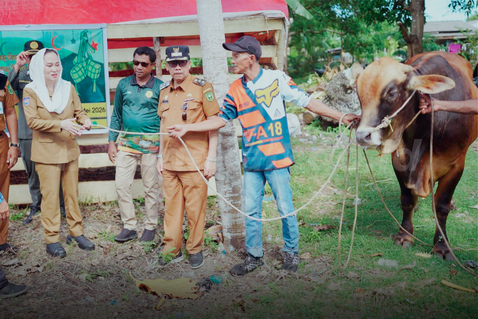 Bupati Natuna Salurkan Hewan Kurban Bantuan Presiden RI ke Wilayah Perbatasan Pulau Laut