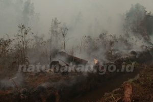 Read more about the article Pemkab Natuna Mulai Penyusunan R3P Pascabencana Karhutla