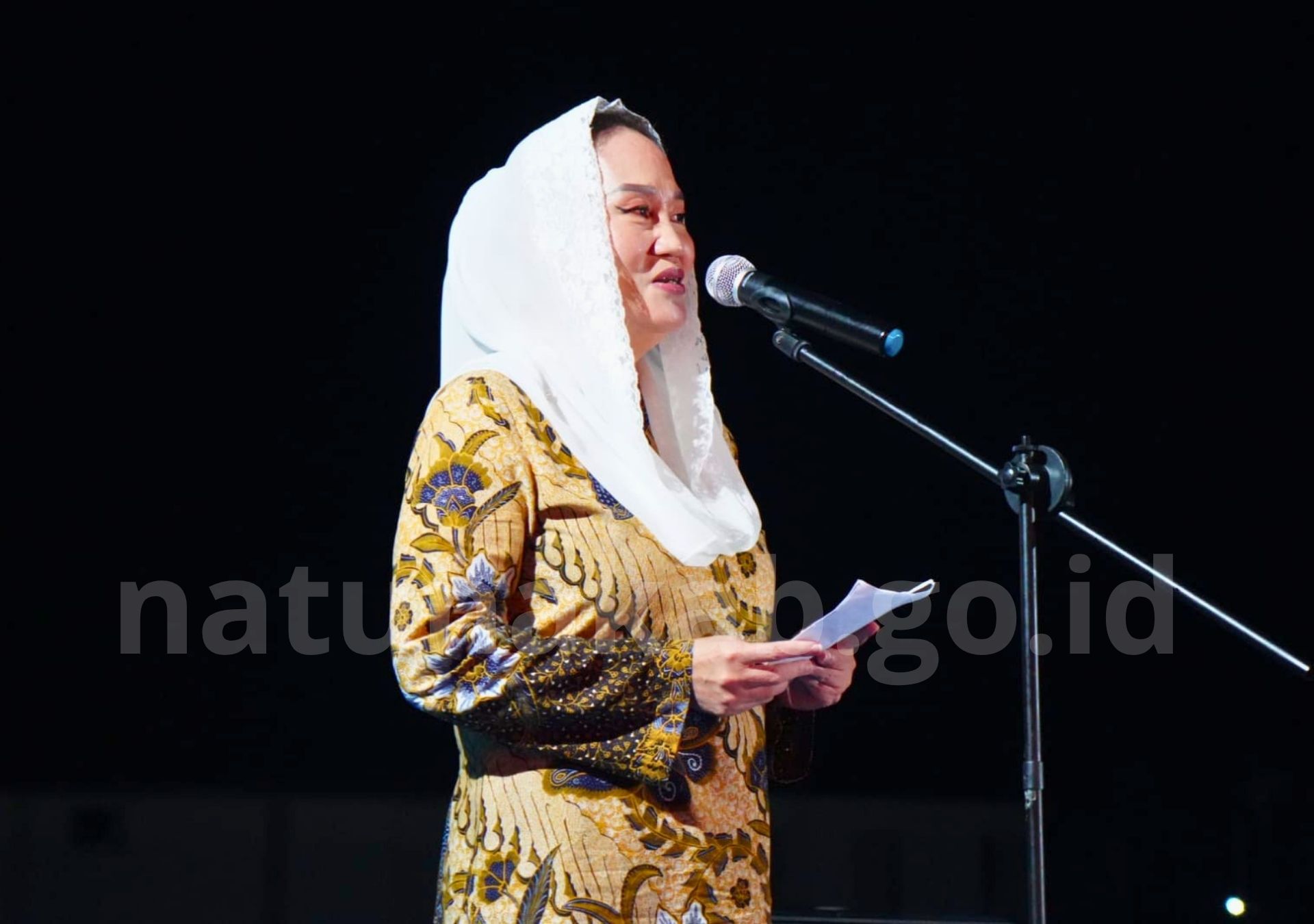 You are currently viewing Perkuat Sinergitas Wilayah Perbatasan, Bupati Natuna Hadiri Sunset Dinner Bersama Pangkoarmada I