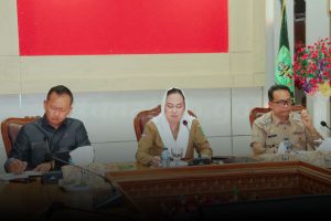 Read more about the article Bupati Natuna: Sinergi dengan BPH Migas Kunci Ketersediaan BBM dan Ketahanan Energi Daerah