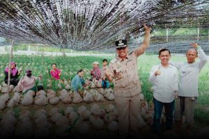 Read more about the article Wakil Bupati Natuna Tinjau Pembibitan Kelapa Unggul, Dukung Penguatan Sektor Perkebunan Daerah