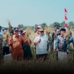 Wakil Bupati Natuna Dampingi Wakil Gubernur Kepri Panen Raya Padi di Bunguran Batubi