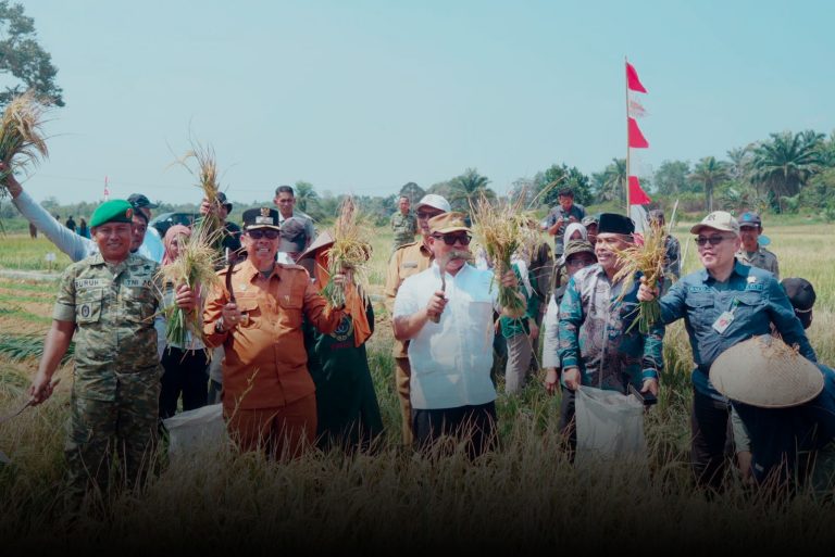 Wakil Bupati Natuna Dampingi Wakil Gubernur Kepri Panen Raya Padi di Bunguran Batubi