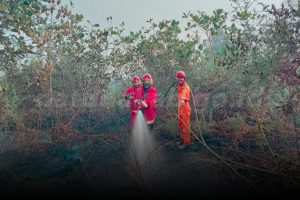 Read more about the article Terjadi Tiga Lokasi Kebakaran Secara Beruntun Di Natuna, Bupati Cen Sui Lan Kerahkan TIM Satgas Karhutla Natuna
